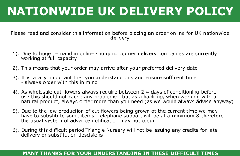 Covid19 Nationwide Delivery Policy Triangle Nursery